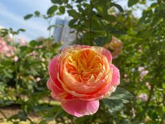 -人民公园(罗湖区)