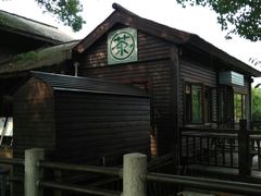 -白马涧龙池景区