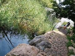 -大连植物园