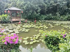 -广州莲花山旅游区