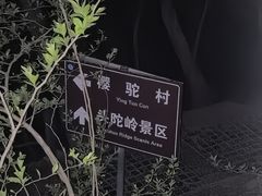 -紫金山山顶公园