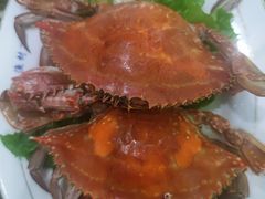 -红星渔村(将军石店)