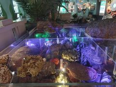 -中国湿地博物馆