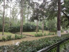 -合肥滨湖国家森林公园