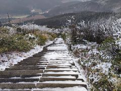 -武陵山森林公园