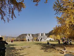 -千年银杏谷文化旅游区