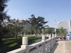 -深圳大学总医院