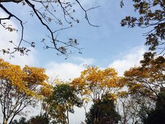 -杭州城北体育公园