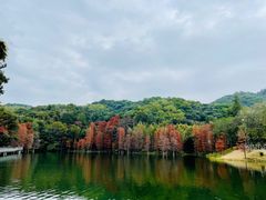 -广州市白云山风景名胜区