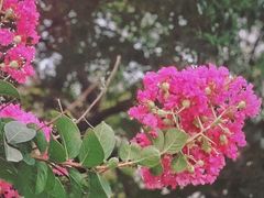 -CAMP.33露营烤肉·团建聚餐(创智天地店)