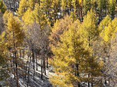 -塞罕坝国家级自然保护区