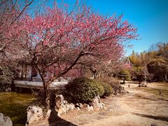 -木子山庄·安徽省老字号·中国炖锅宴