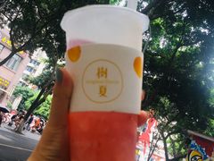 -树夏(建设路店)