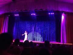 -金东尼人妖秀