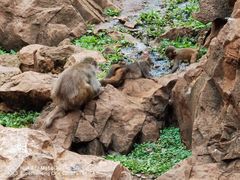 -昆明动物园
