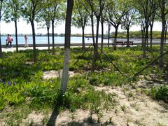 -天津东丽湖风景区