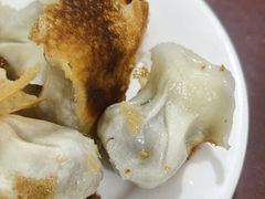 -东门饺子馆(少年宫路店)