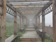 -白草畔自然风景区