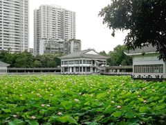 -荔湾湖公园