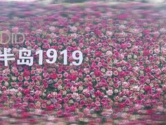 -半岛1919创意园区