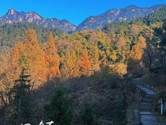 -九华山风景区