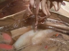 奔驰三味锅-小龙坎老火锅(金柏林店)