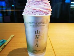 -雾与山茶(大禹城店)