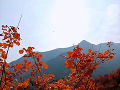 -周口店坡峰岭风景区