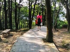 -火炉山森林公园