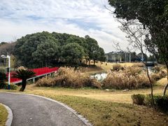 -美兰湖景区