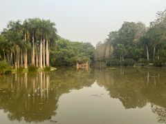 -中国科学院西双版纳热带植物园