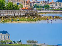 -烟台海昌鲸鲨海洋公园