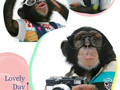 -广东电视台演播厅