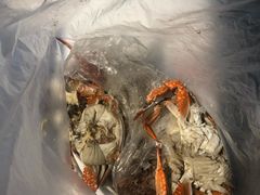 -盒马鲜生(大成店)