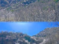 -阳台山自然风景区