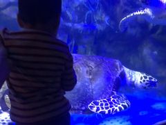 -太平洋海底世界