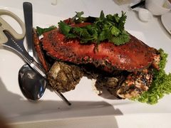 -新加坡海鲜共和(名胜世界圣淘沙海滨坊)