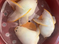 -顺轩海鲜火锅酒家
