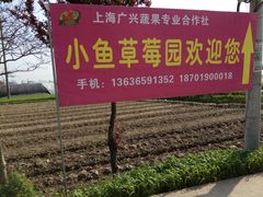 -小鱼草莓采摘园农家乐·小鱼餐厅