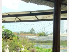 -Ohkajhu Organic Farm Sansai