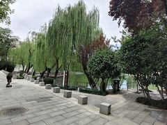 -莲湖公园
