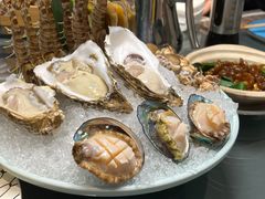 生蚝鸡锅-金龙·打边炉(南京西路店)
