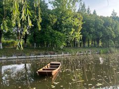 -渌洋湖湿地公园