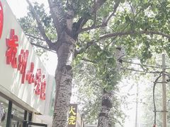 -王记肉火烧早餐中国店