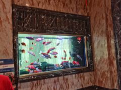 -万宝海鲜舫(劳动公园店)