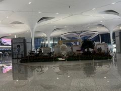 -杭州萧山国际机场