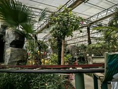 -南宫五洲植物乐园