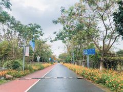 -前小桔亲子创意农场·草莓采摘·露营烧烤
