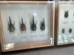 -吉林省自然博物馆