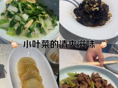 -洞庭家宴·头牌甲鱼(广渠门店)